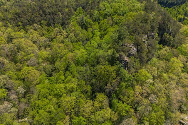birds eye view of property with a forest view