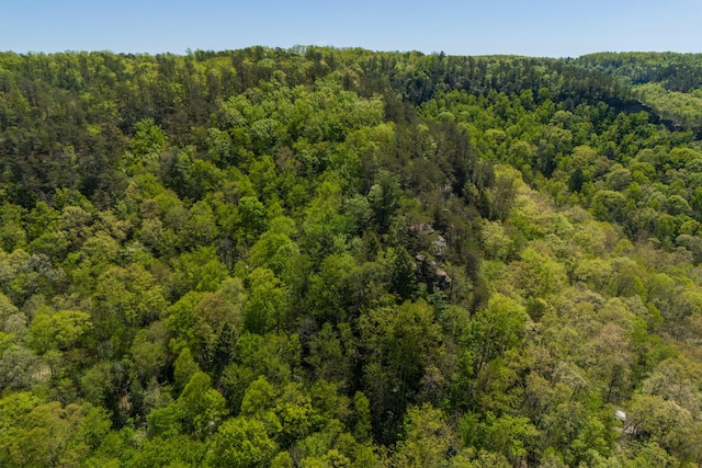 birds eye view of property with a view of trees