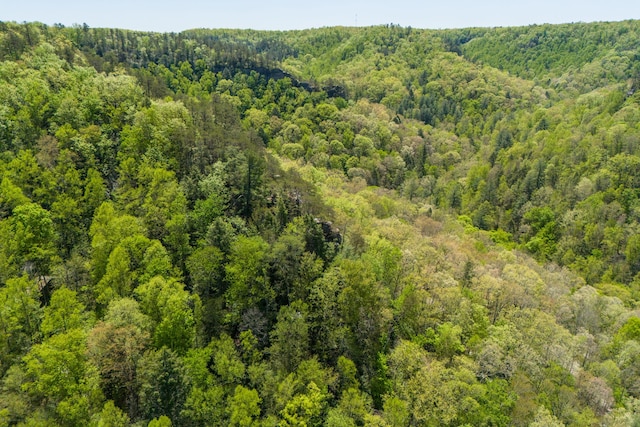 bird's eye view featuring a wooded view