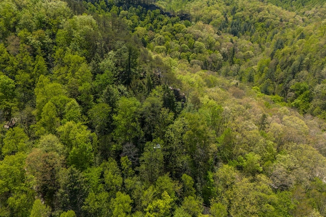 birds eye view of property with a forest view