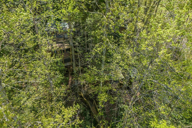 view of nature