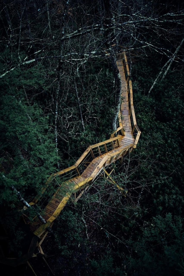 view of local wilderness