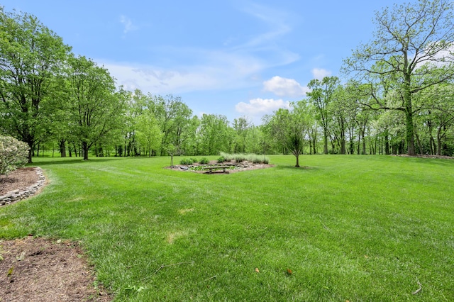 view of yard