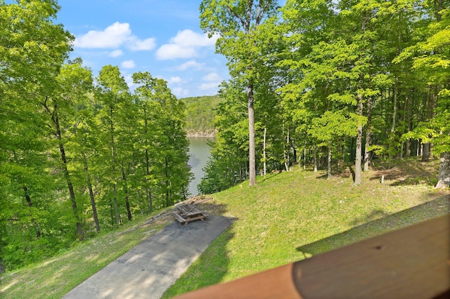 995 Lazy Trl, Nancy, KY 42544 - view of yard featuring a water view and a wooded view