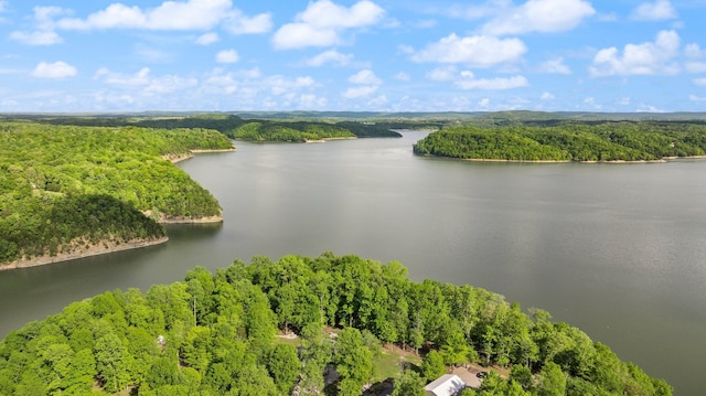 bird's eye view with a water view and a forest view