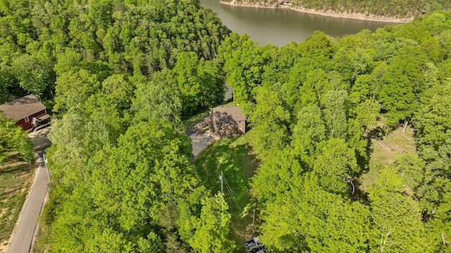 bird's eye view featuring a water view and a view of trees