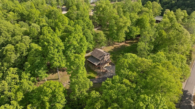 bird's eye view