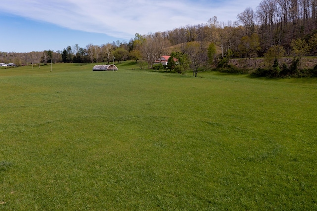 534 Lower Gilmore Rd, Campton, KY 41301 - view of yard