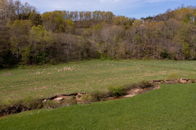 534 Lower Gilmore Rd, Campton, KY 41301 - view of landscape with a wooded view