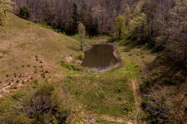 534 Lower Gilmore Rd, Campton, KY 41301 - drone / aerial view with a water view and a forest view