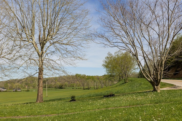 534 Lower Gilmore Rd, Campton, KY 41301 - view of yard
