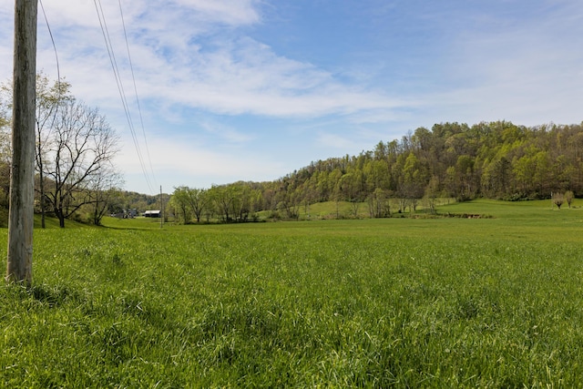 534 Lower Gilmore Rd, Campton, KY 41301 - view of landscape featuring a wooded view and a rural view