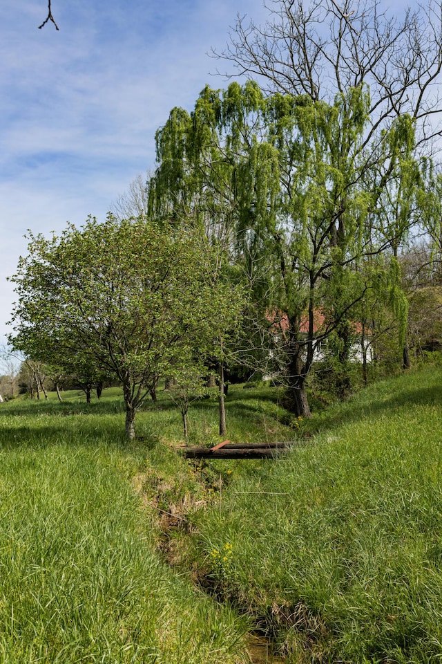 534 Lower Gilmore Rd, Campton, KY 41301 - view of yard