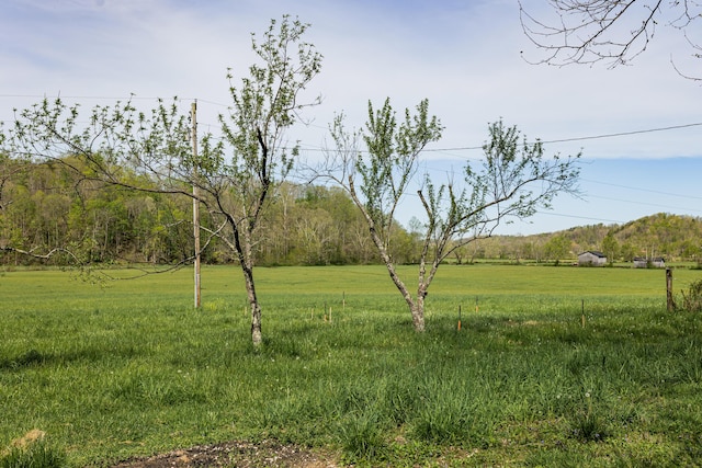 534 Lower Gilmore Rd, Campton, KY 41301 - view of yard featuring a rural view