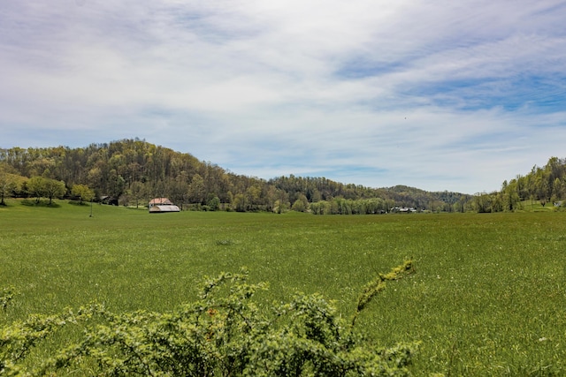 534 Lower Gilmore Rd, Campton, KY 41301 - view of yard with a view of trees and a rural view