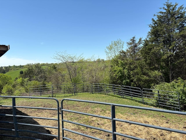 980 Persimmon Ridge Rd, Carlisle, KY 40311 - view of yard featuring a rural view