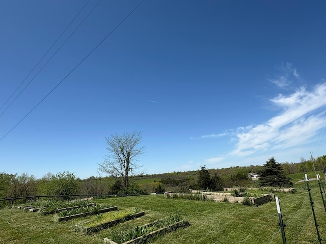 980 Persimmon Ridge Rd, Carlisle, KY 40311 - view of yard featuring a rural view, fence, and a garden