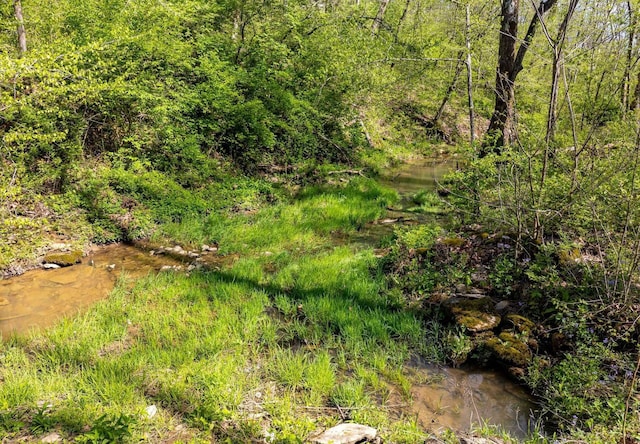 980 Persimmon Ridge Rd, Carlisle, KY 40311 - view of nature