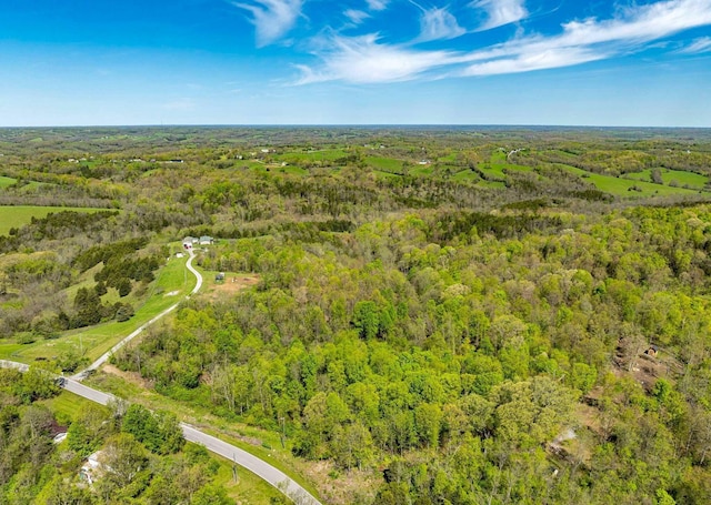 980 Persimmon Ridge Rd, Carlisle, KY 40311 - aerial view with a view of trees