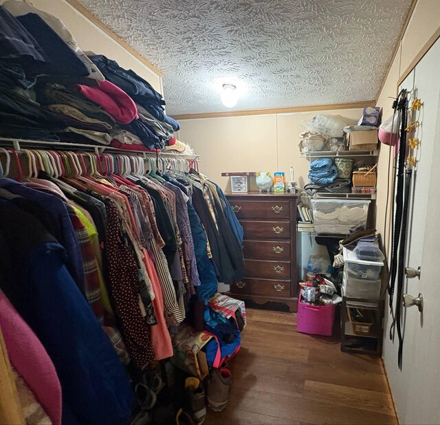 980 Persimmon Ridge Rd, Carlisle, KY 40311 - walk in closet with wood finished floors