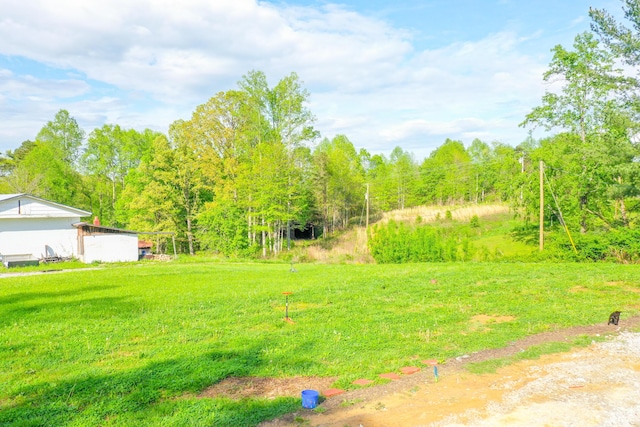 6989 W Laurel Rd, London, KY 40741 - view of yard