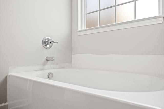 full bathroom featuring a washtub
