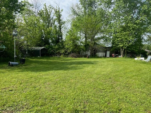 view of yard featuring an outbuilding