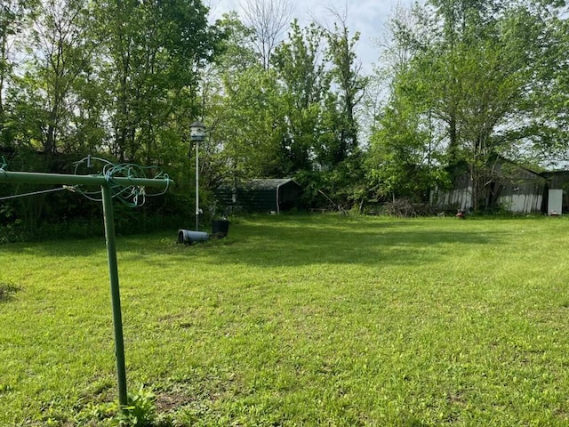 view of yard