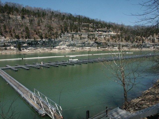 view of water feature
