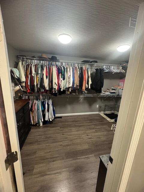 walk in closet featuring wood finished floors
