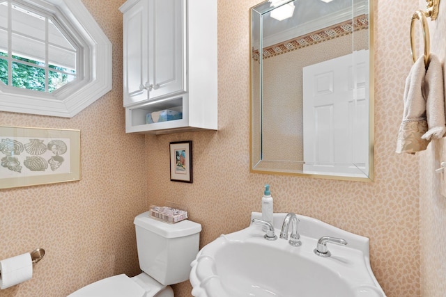 3283 Snaffle Rd, Lexington, KY 40513 - bathroom featuring wallpapered walls, toilet, and a sink