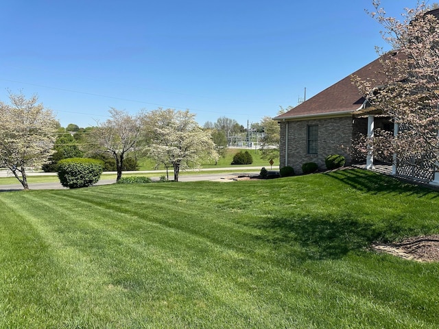 101 Wildwood Dr, Somerset, KY 42503 - view of yard