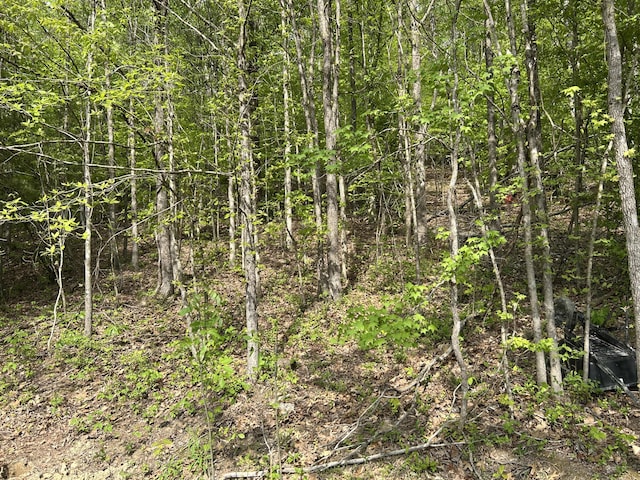 16 El Way, Clay City, KY 40312
