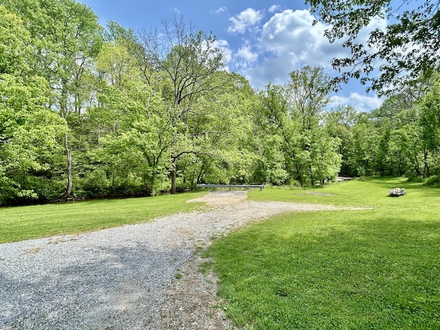 view of community featuring a lawn and a forest view