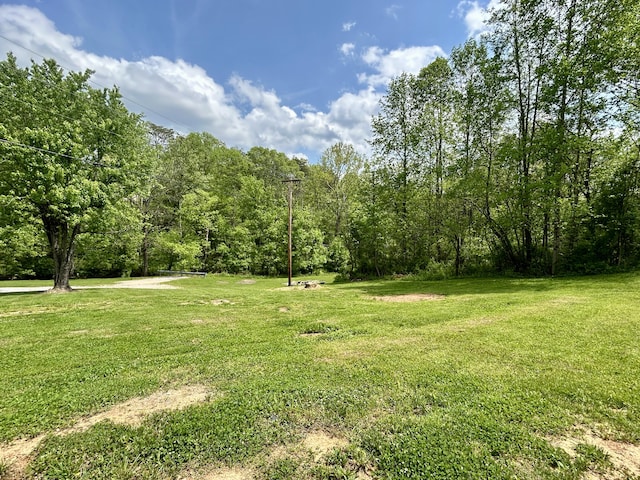 view of yard