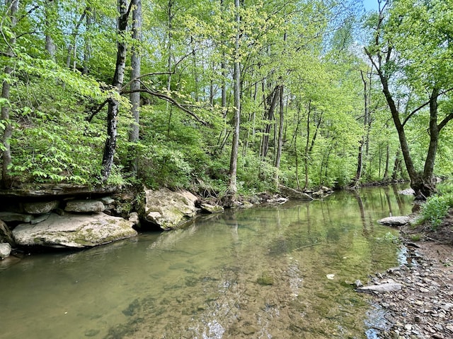 view of water feature