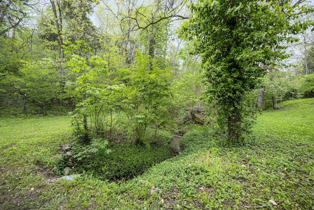 2616 Doylesville Rd, Richmond, KY 40475 - view of local wilderness with a view of trees