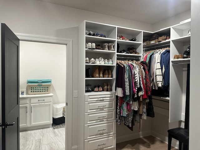 view of spacious closet