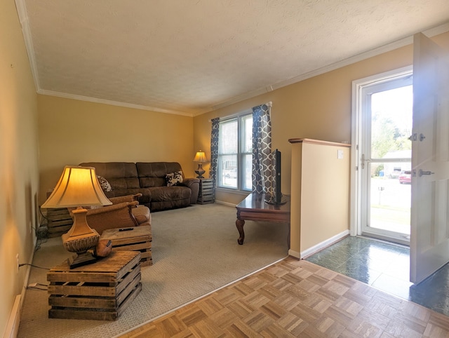living area featuring baseboards and ornamental molding