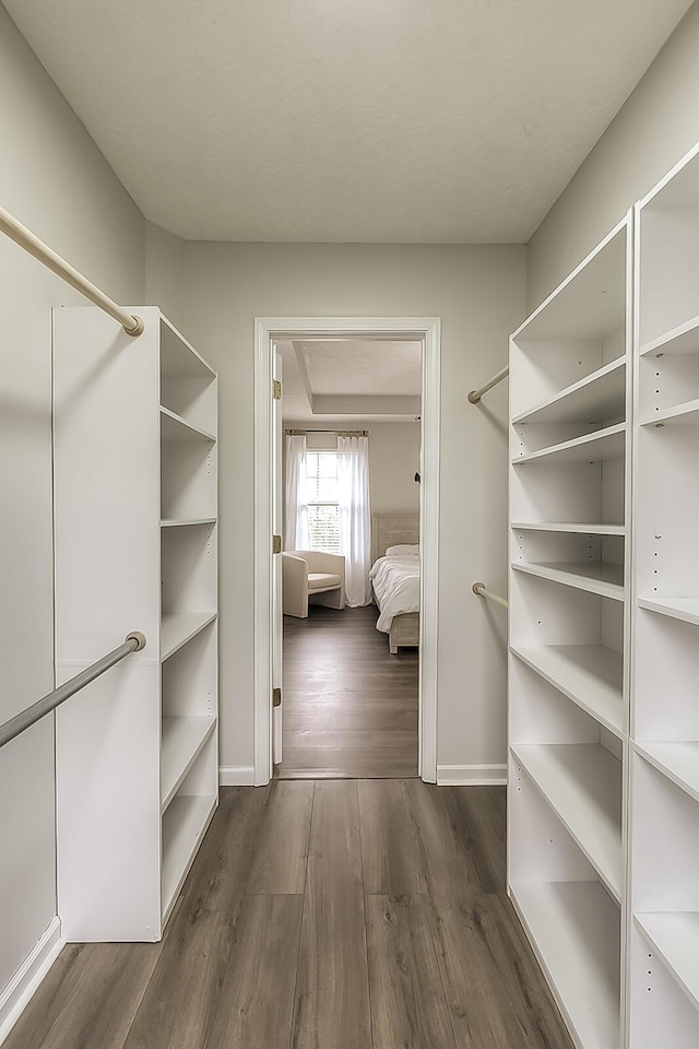 132 Mason Springs Dr, Nicholasville, KY 40356 - walk in closet featuring dark wood-style flooring