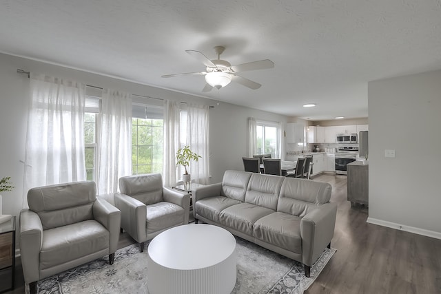 132 Mason Springs Dr, Nicholasville, KY 40356 - living room featuring healthy amount of natural light, wood finished floors, a ceiling fan, and baseboards