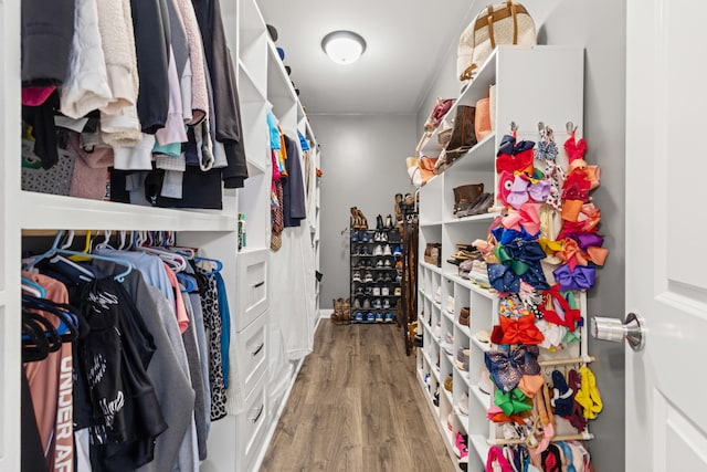 walk in closet with wood finished floors