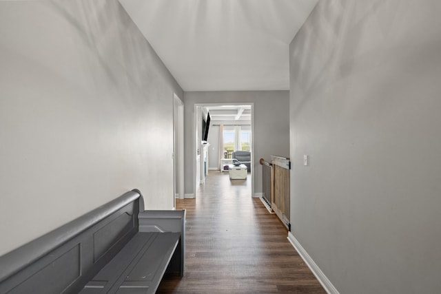 corridor featuring baseboards and dark wood-type flooring