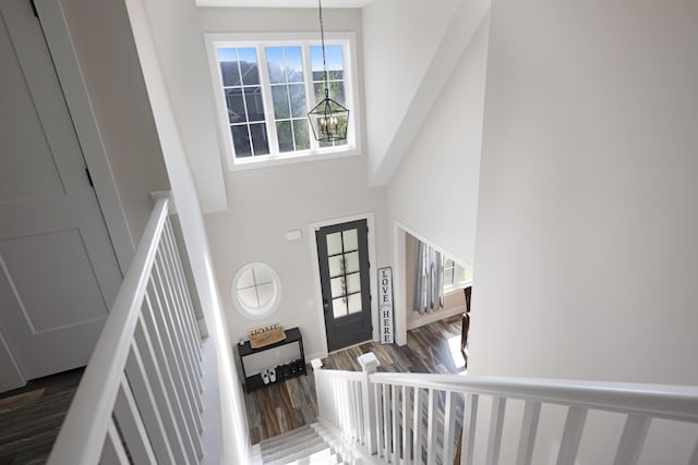 foyer entrance featuring baseboards, a high ceiling, and wood finished floors