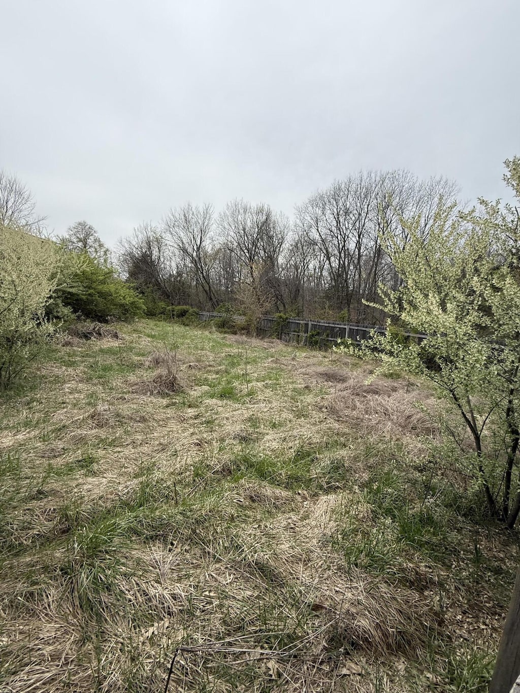 view of landscape featuring a rural view
