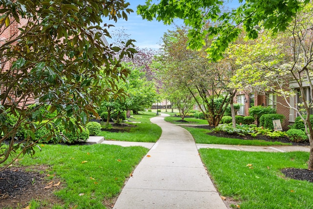 963 Star Shoot Pkwy, Lexington, KY 40509 - view of community with a lawn