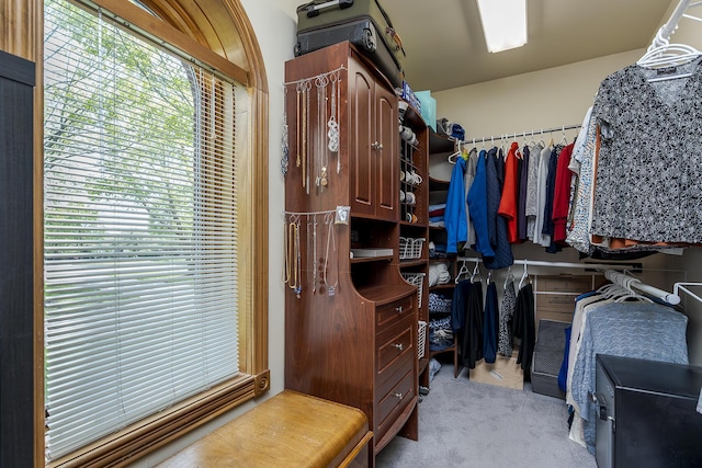 walk in closet with carpet