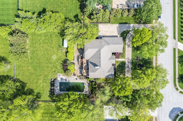 bird's eye view