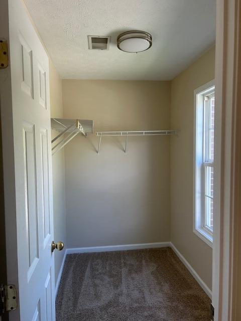 walk in closet with carpet floors and visible vents
