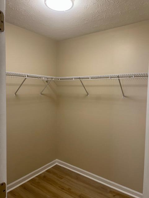 walk in closet with dark wood-style flooring